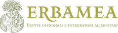 Erbamea